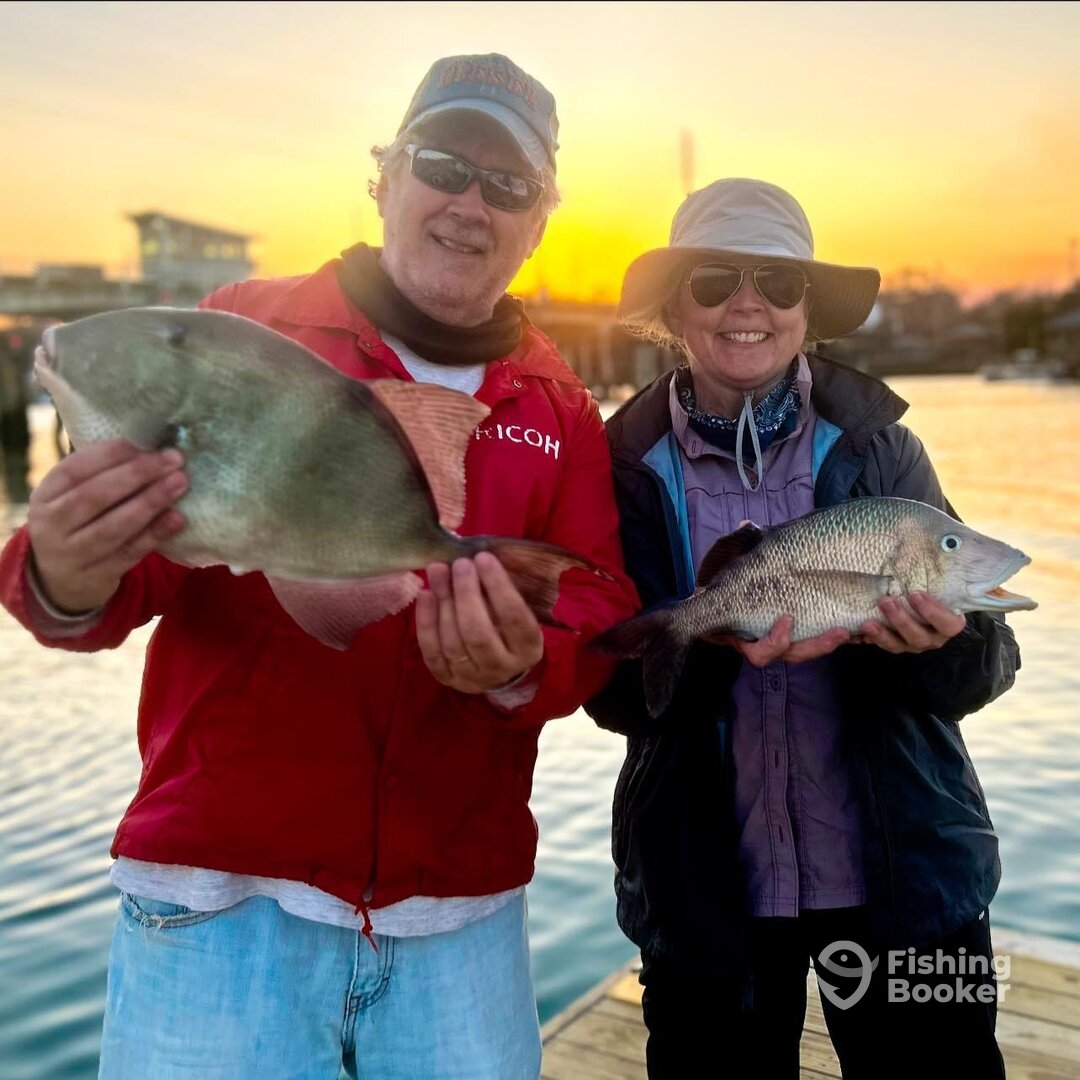 Oak Island Report Photo 0