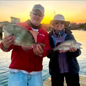 Triggers, Grunts, & Sea Bass