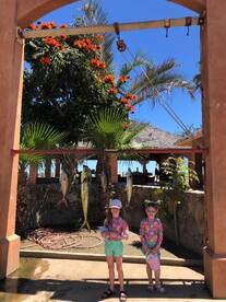 San Jose del Cabo Report Photo 1