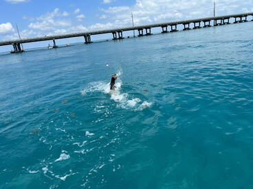 Catching BIG Tarpon!!
