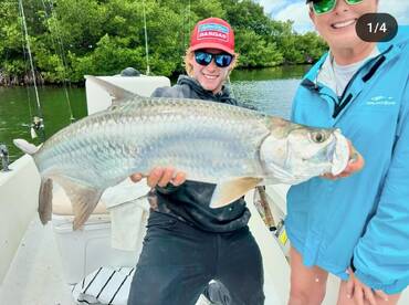 Juvenile tarpon (under 40 inches) quick pic