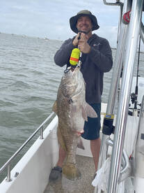 Spring time fishing in galveston bay