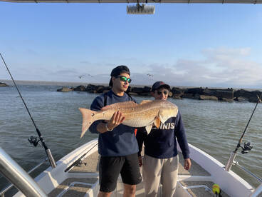 Galveston Report Photo 2
