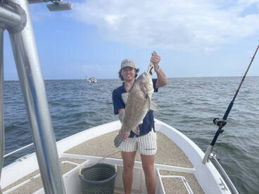 Galveston Report Photo 1