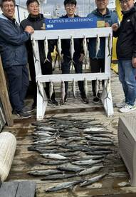 4hr trips catching lots of fish