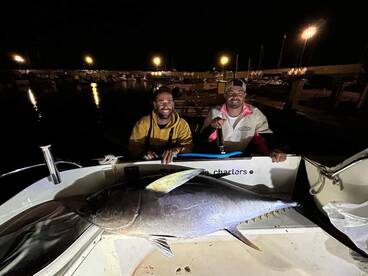 Some albacores and big eye Tuna 