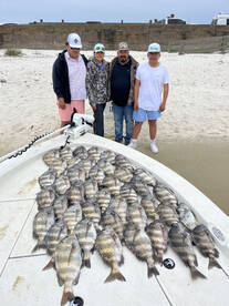 5 man limit of sheepsheas 