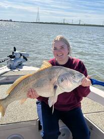 Speck bite is ?!!!