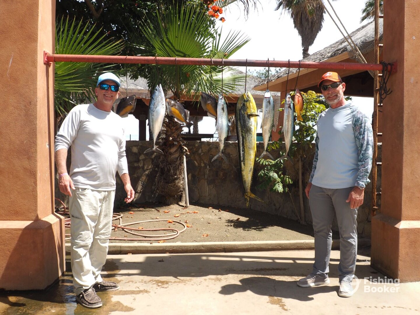 San Jose del Cabo Report Photo 0