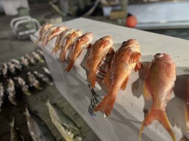 Its just a waiting game now