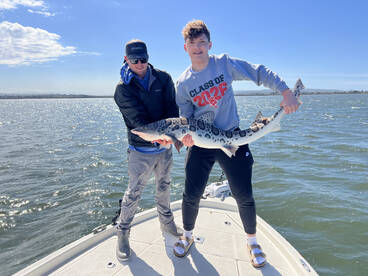 San Diego Bay Fish Report