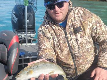 Youngstown Report Photo 2