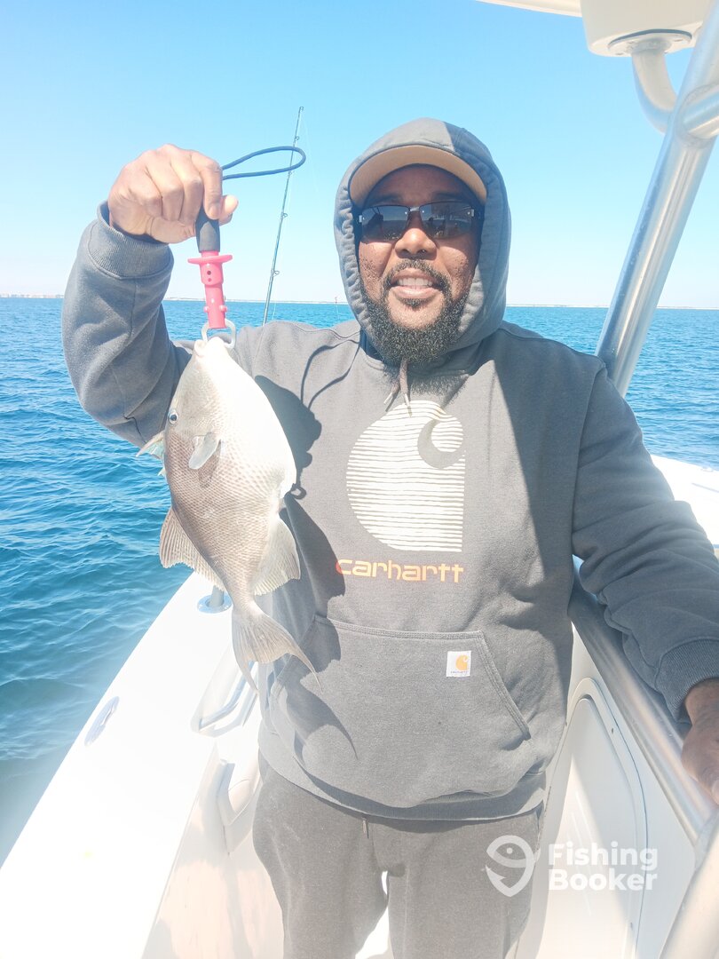 Destin Report Photo 0