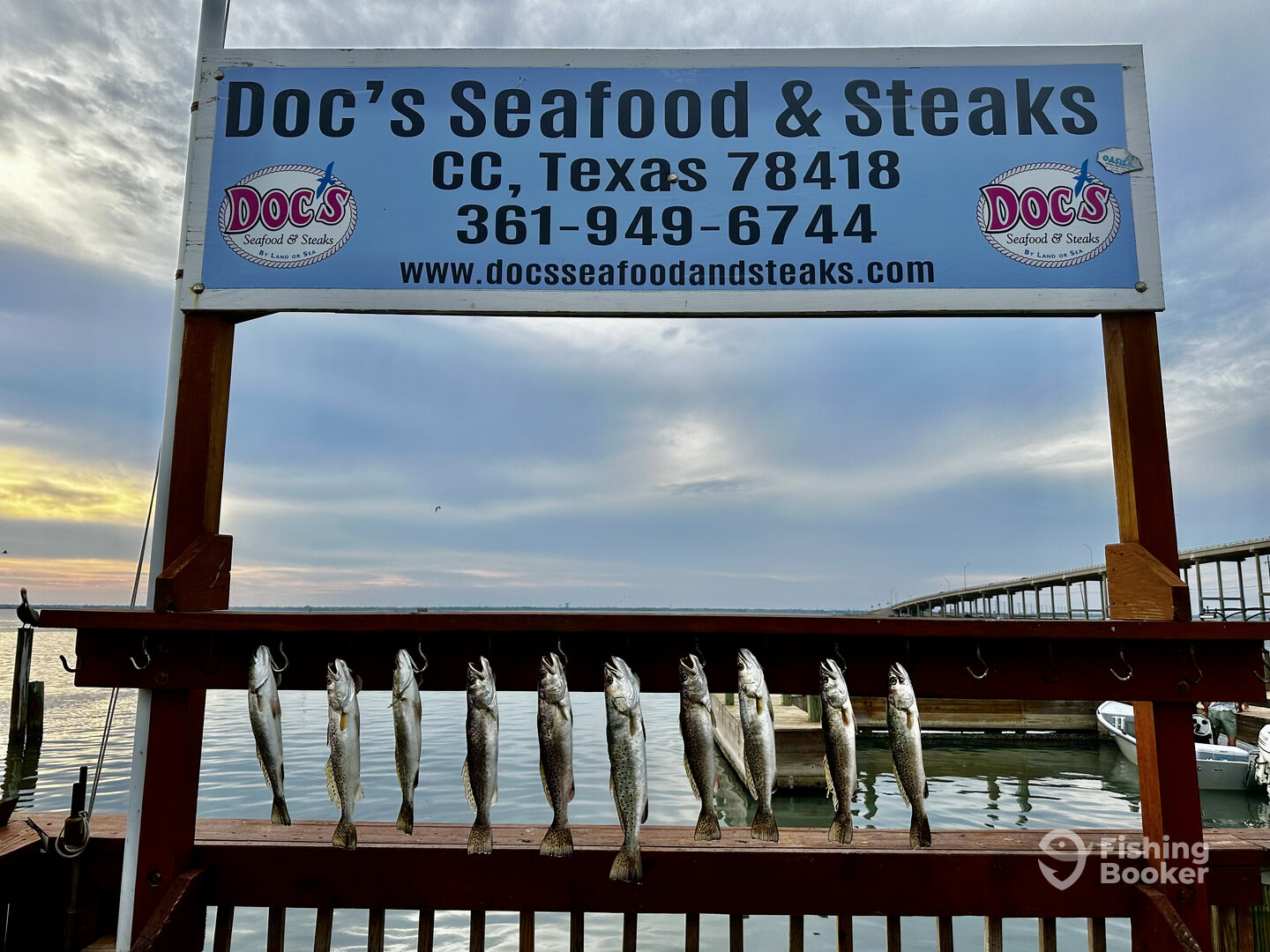 Corpus Christi Report Photo 0