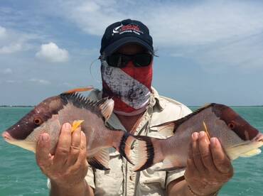 Ramrod Key Report Photo 1