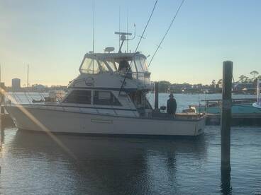 Cool Change 2 be ready for Red Snapper S