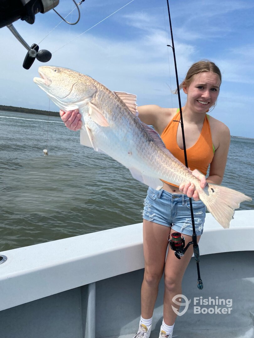 Hilton Head Island Report Photo 0