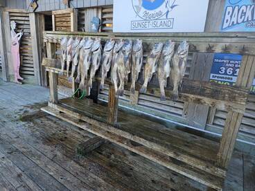 Drum are still thick! 