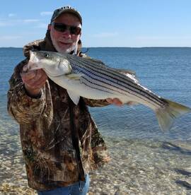 Chincoteague Report Photo 2