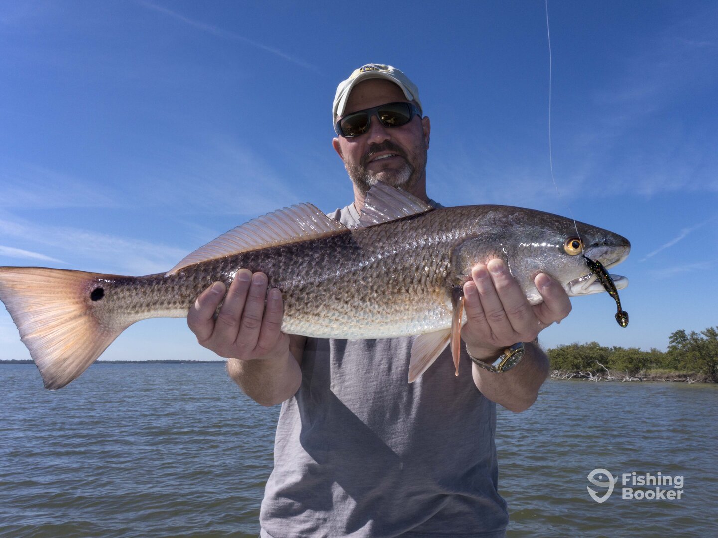 Titusville Report Photo 0