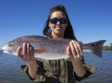 Titusville Report Photo 1