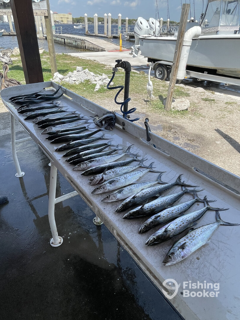 Jacksonville Report Photo 0