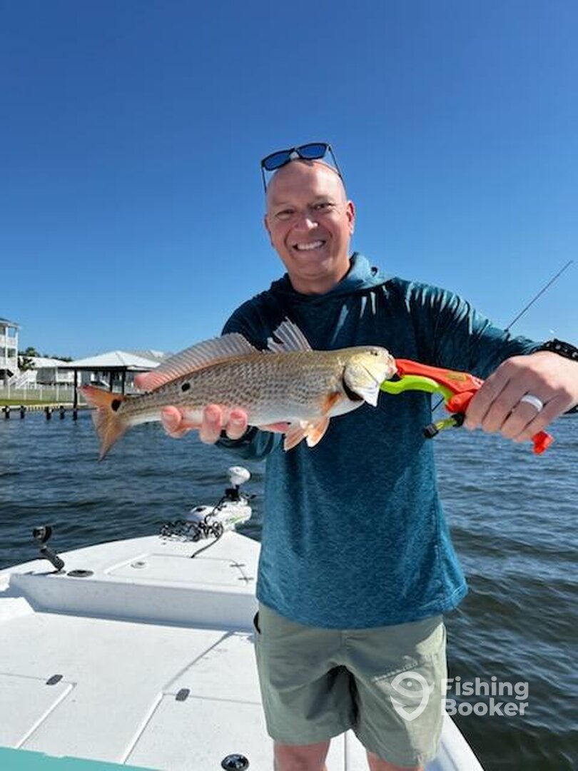 Orange Beach Report Photo 0