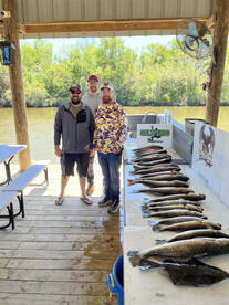 St. Bernard Report Photo 2