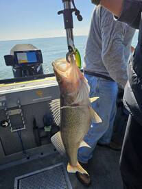 Lakeside Marblehead Report Photo 2