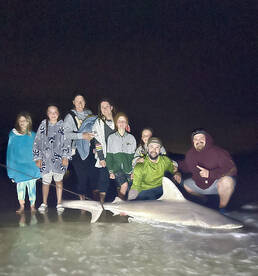 Navarre Report Photo 2