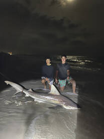 Navarre Report Photo 1