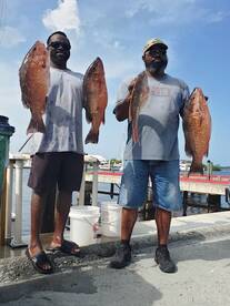 RECENT CATCHES