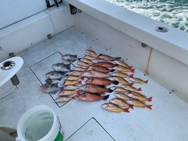 Fort Pierce Report Photo 2