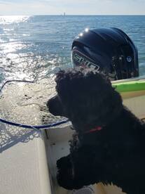 Lakeside Marblehead Report Photo 2