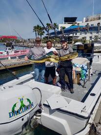 San Jose del Cabo Report Photo 1