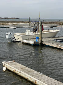 In for the new season and starting the b