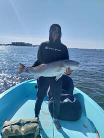 Destin Report Photo 1