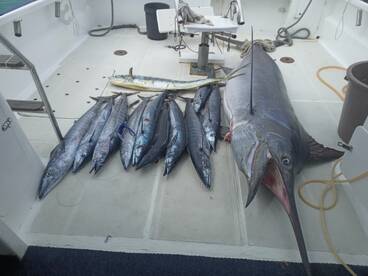 Le Morne Report Photo 1