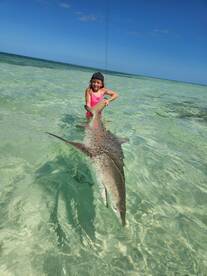 Shark fishing is red hot right now!