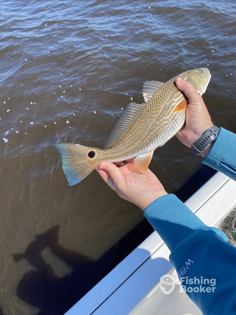 Carolina Beach Report Photo 0
