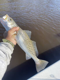 Corking season is here! 