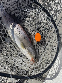 River Road Report Photo 2