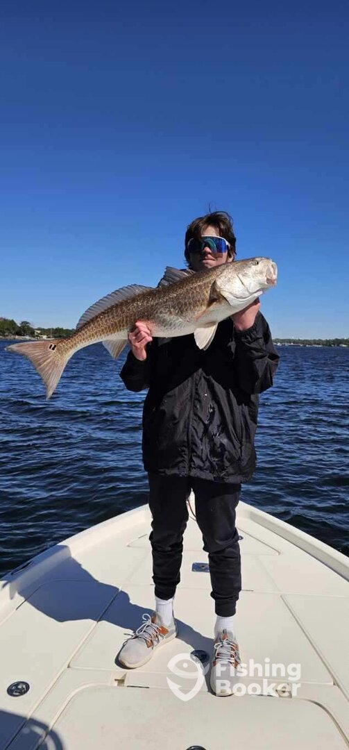 Destin Report Photo 0