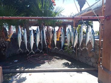 San Jose del Cabo Report Photo 2