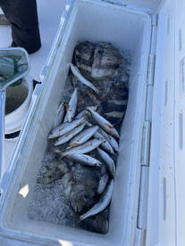 Gulfport Report Photo 2