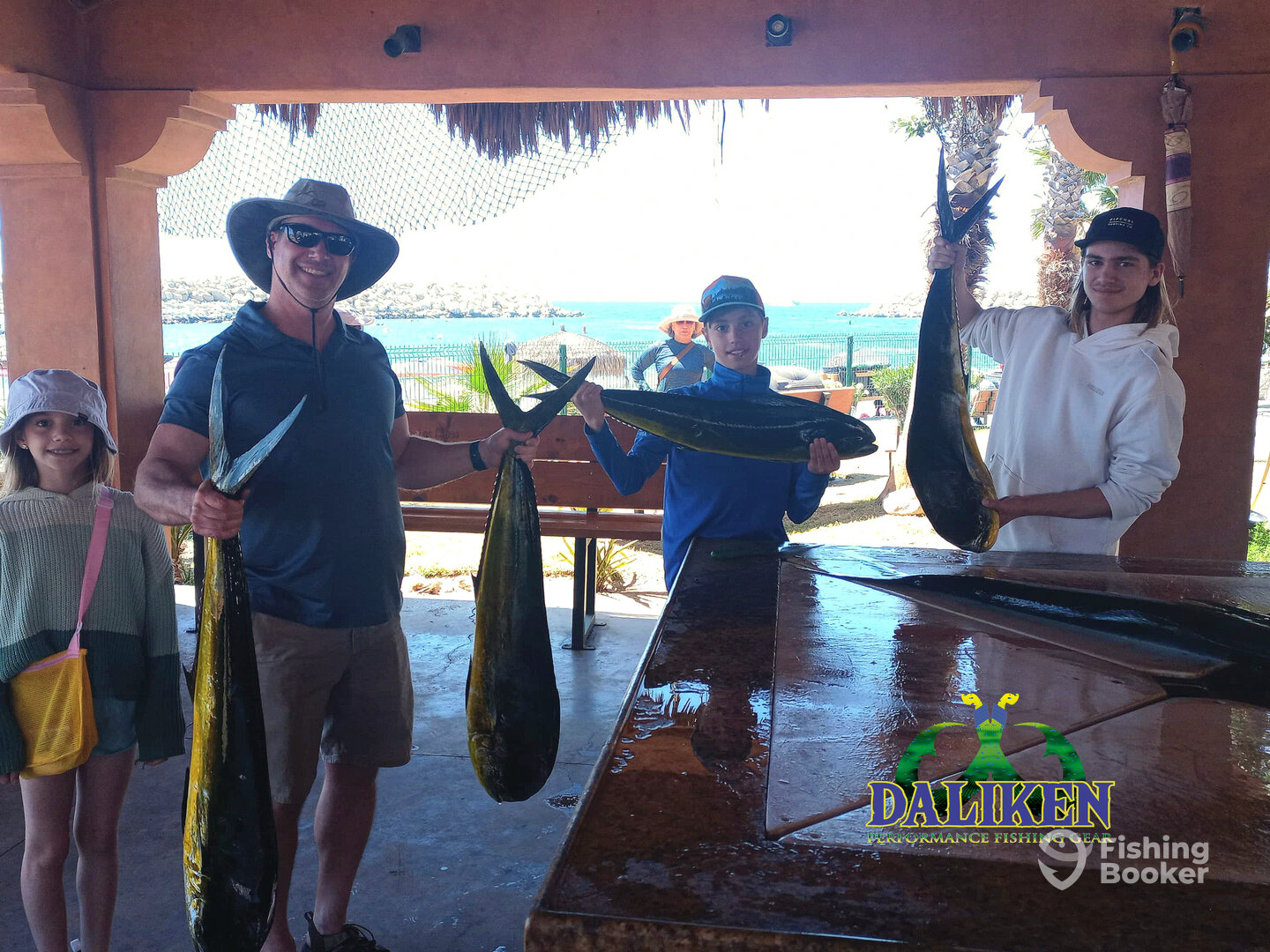 San Jose del Cabo Report Photo 0