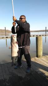 Catfish fighting 101