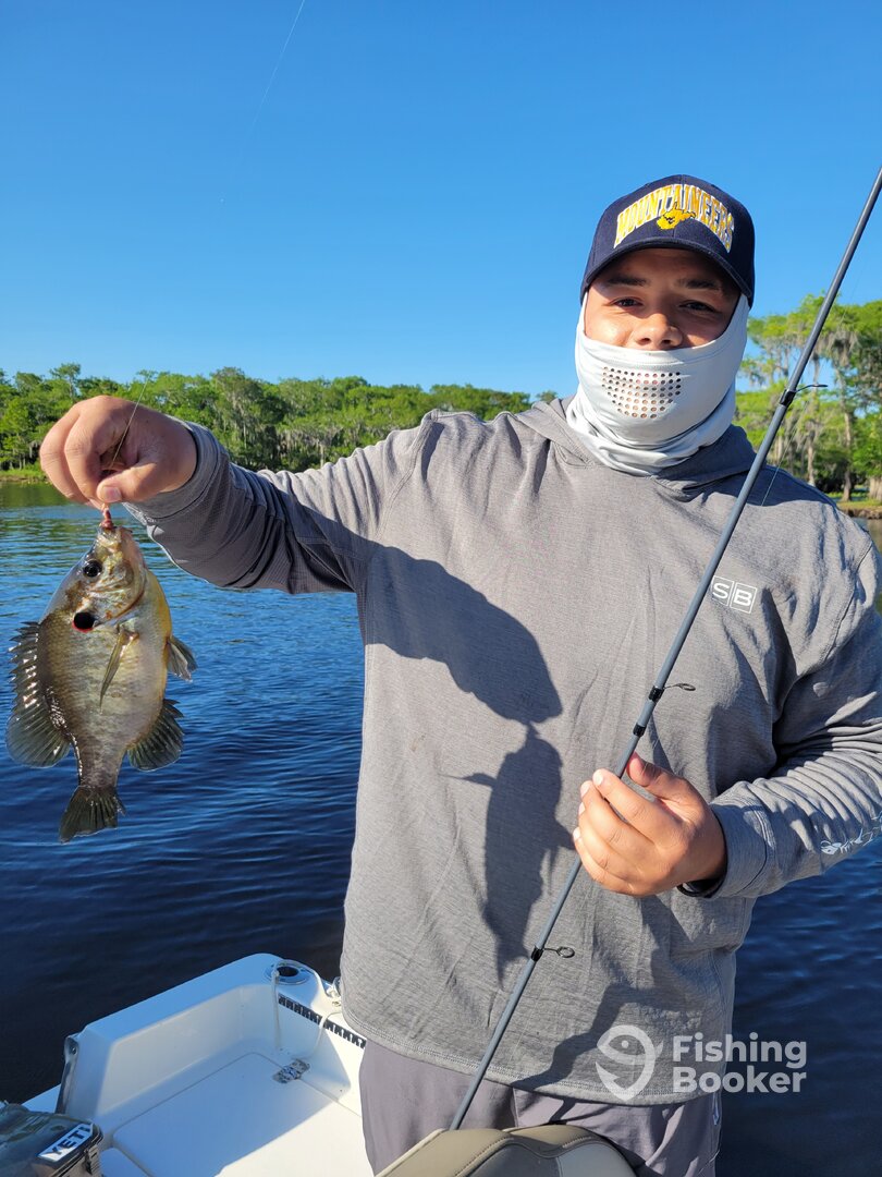 DeBary Report Photo 0