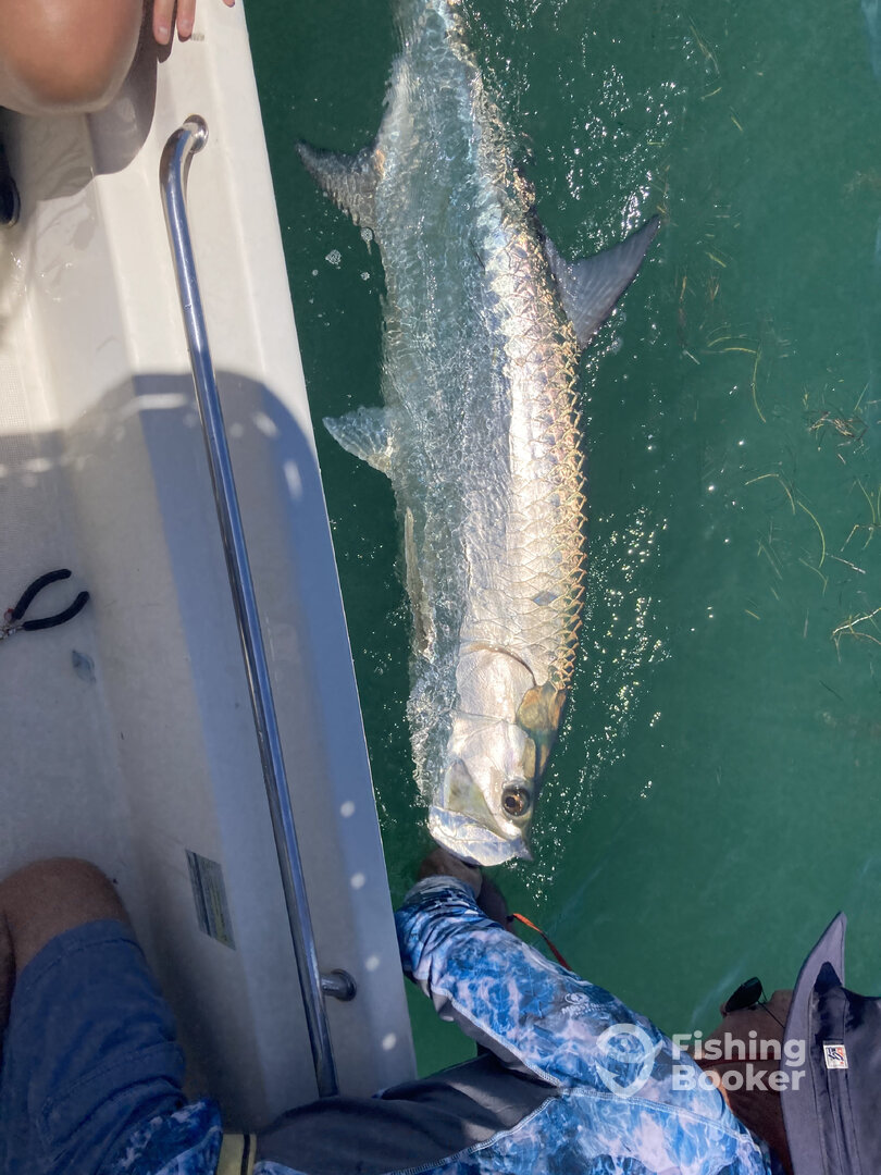 Big Pine Key Report Photo 0