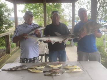 Pensacola Report Photo 1